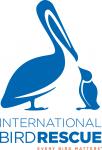 IBR Logo