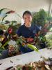 Making Lei while the Sun Shines