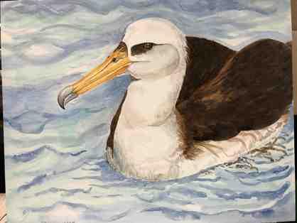 A bird